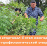 В период с 11 по 16 июля 2023 года по всей территории Республики Калмыкия стартовал II этап ежегодной оперативно-профилактической операции «Мак-2023» - Кетченеровское РМО